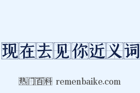 现在去见你近义词是什么意思的图片